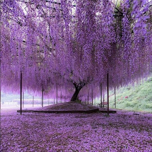 Meet your Posher, Gabriele - Picture 1 of 1